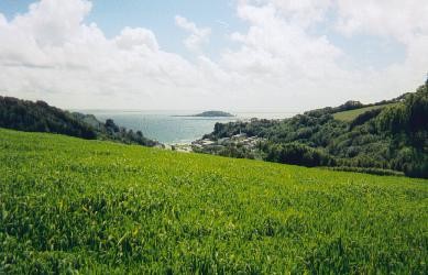 Millendreath valley from top of hill